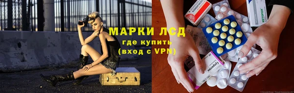 прущие грибы Белоозёрский