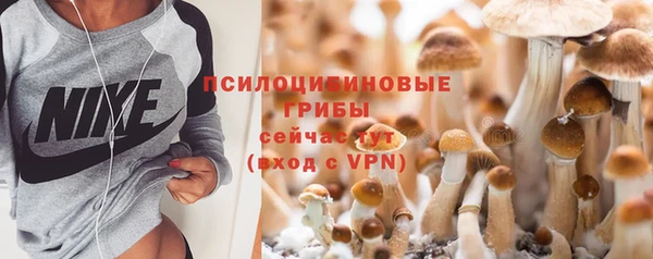 мдпв Бронницы