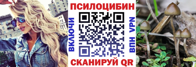 МЕГА tor Горнозаводск Псилоцибиновые грибы мицелий